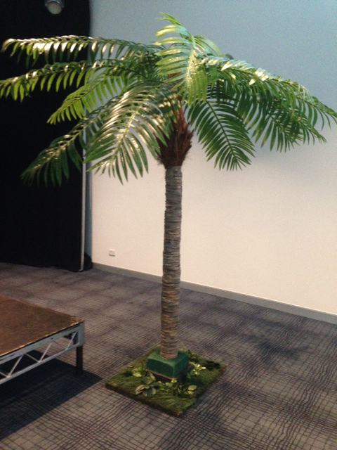 Palm Trees - Prop For Hire