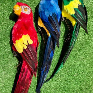 Parrots - Prop For Hire
