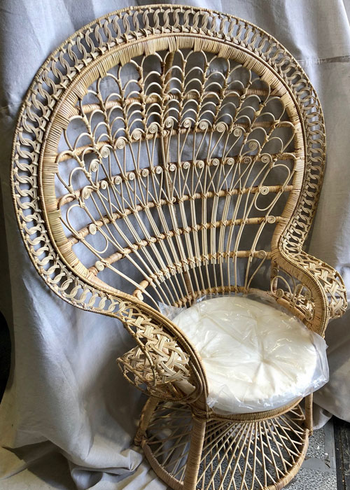 Peacock Chair - Prop For Hire