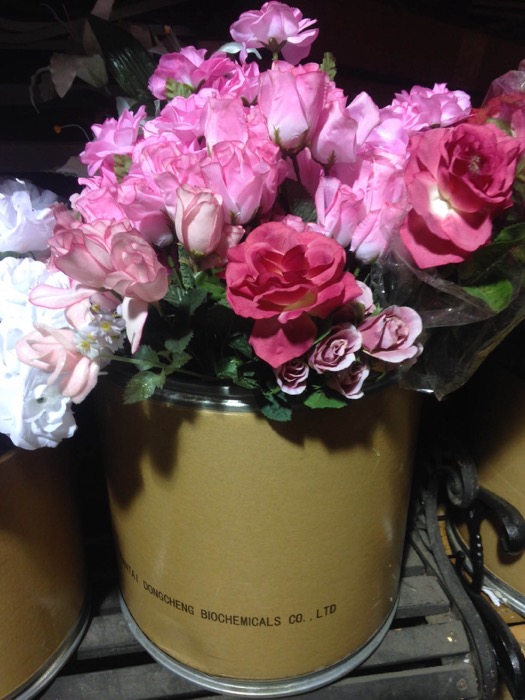 Pink Roses - Prop For Hire