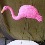 Plastic Flamingo - Prop For Hire