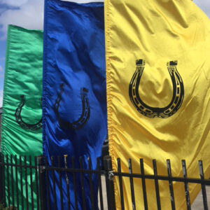 Raceday Flags Entrance - Prop For Hire