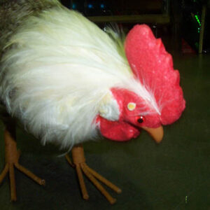 Rooster - Prop For Hire
