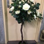 Rose Bush White - Prop For Hire