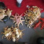 Sea Creatures - Prop For Hire