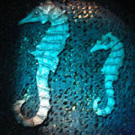 Seaweed Backdrop - Prop For Hire