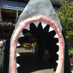 Shark Entrance - Prop For Hire