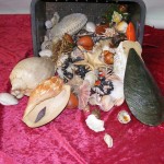 Shells 4 - Prop For Hire