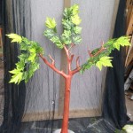 Small Tree - Prop For Hire