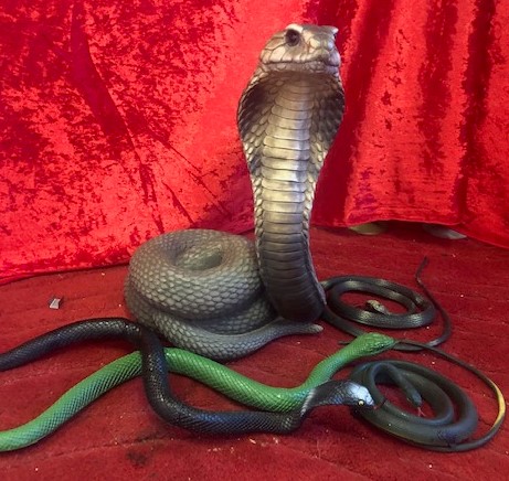 Snakes - Prop For Hire