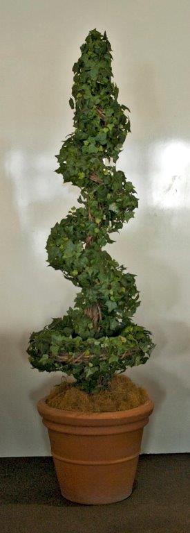 Spiral Ivy Topiary - Prop For Hire