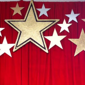 Star Backdrop - Prop For Hire