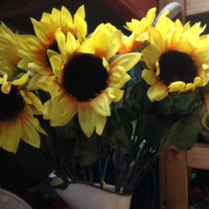Sunflowers - Prop For Hire
