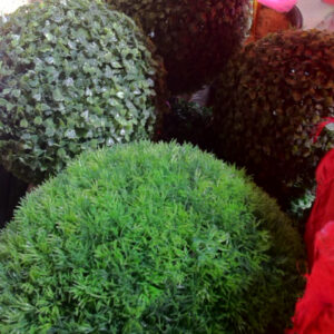 Topiary Trees - Prop For Hire