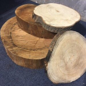 Tree Slices - Prop For Hire