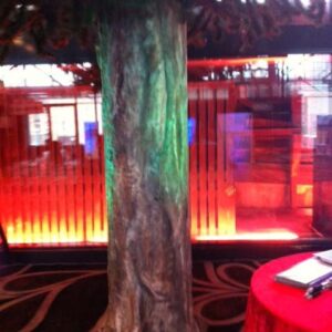 Tree Trunk 1 - Prop For Hire
