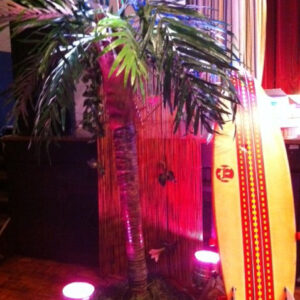 Tropical Palm 1 - Prop For Hire