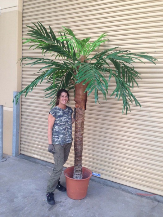 Tropical Palm 2 - Prop For Hire