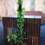 Vines - Prop For Hire