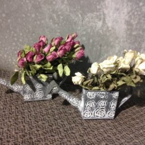 Watering Cans Small 2 - Prop For Hire