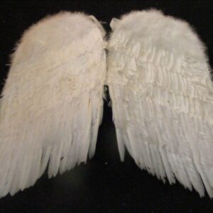 Wings - Prop For Hire