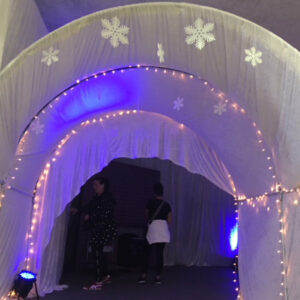 Winter Draping - Prop For Hire