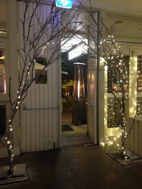Winter Tree Entrance - Prop For Hire