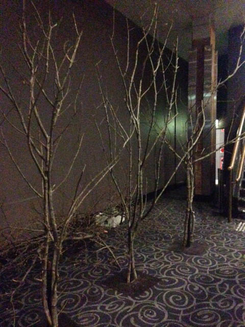 Winter Trees - Prop For Hire